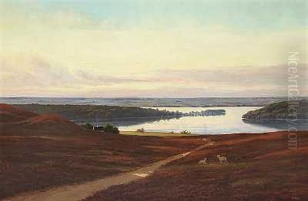 Parti Fra Silkeborgsoerne - view 1