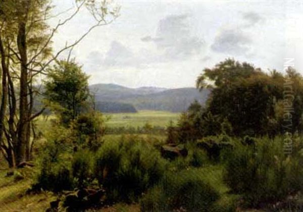 An Extensive Summer Landscape - view 1