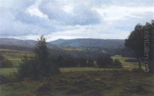 Parti Fra Halland - view 1