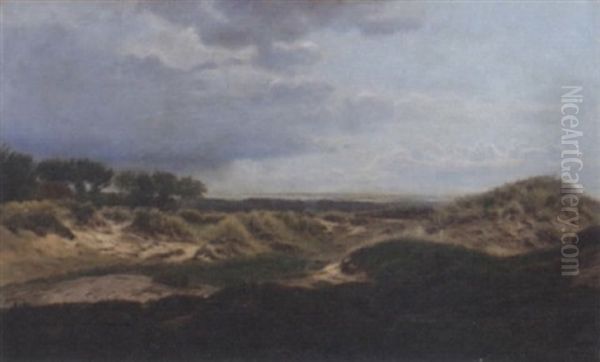 A View From The Dunes - view 1