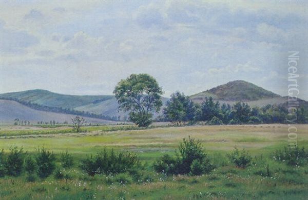 Bakket Sommerlandskab - view 1