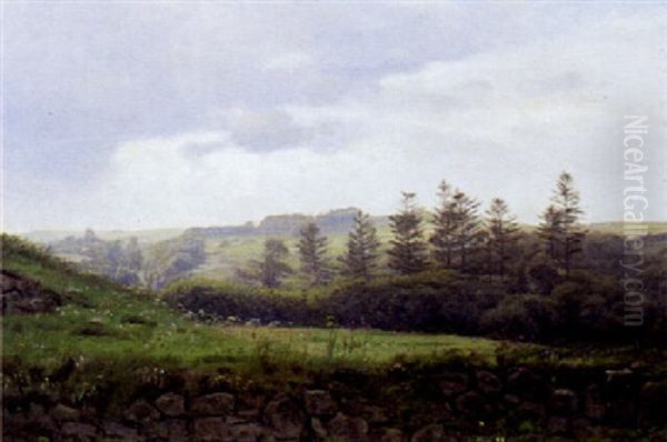 Udsigt Over Marker, I Forgrunden Stengaerde Med Vilde Blomster - view 1