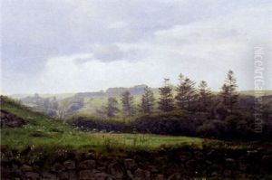 Udsigt Over Marker, I Forgrunden Stengaerde Med Vilde Blomster by Harald Frederick Foss