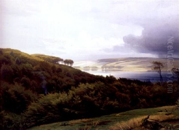 Sommerliche Seenlandschaft Nach Einem Gewitter - view 1