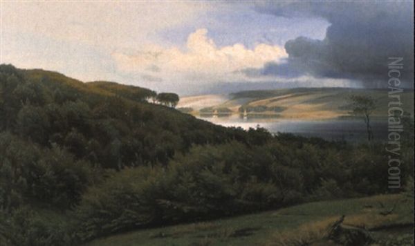Sommerliche Seenlandschaft Nach Einem Gewitter - view 1