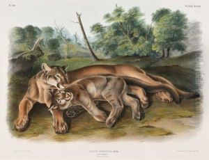 Cougar - Female And Young by John James Audubon