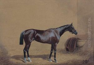 Portraits De Chevaux A L'ecurie by Jonny Audy