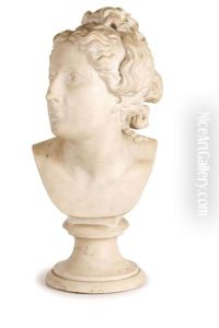 Busto Di Afrodite Busto Di Afrodite