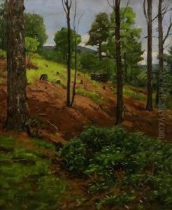Wooded Hill