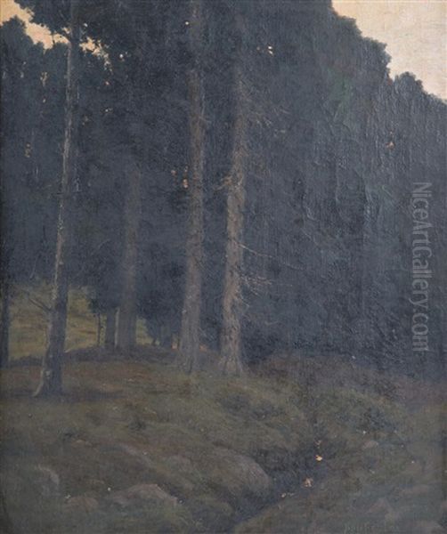 Forestscape - view 1