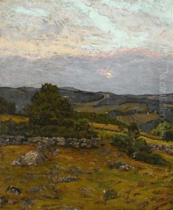 Lightfield Hills