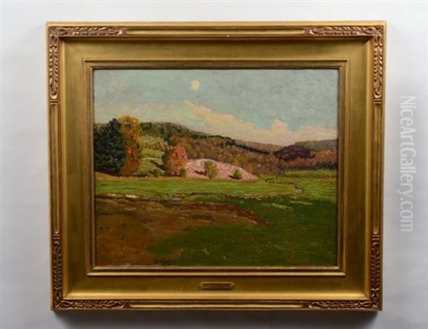 Rolling Hills Landscape - view 1