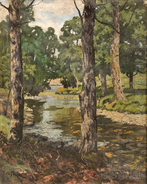 Trees Along The Banks Of A Stream - view 1