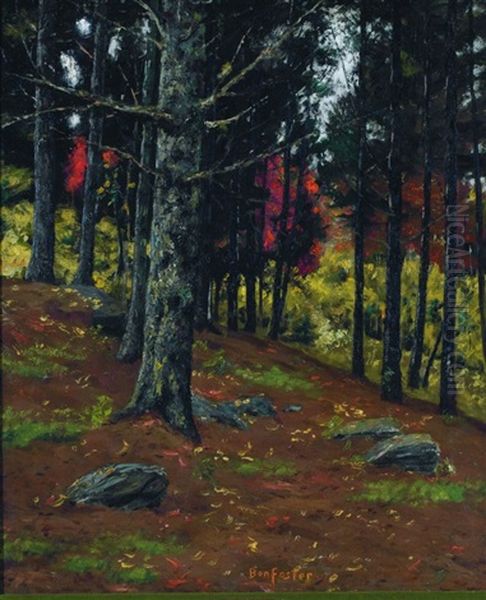 In The Pines - view 1