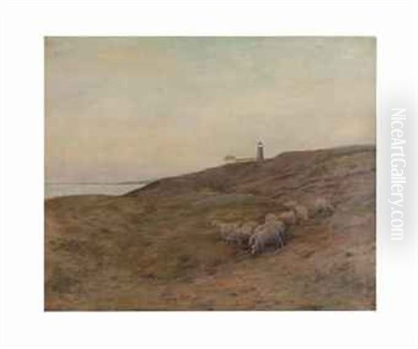 Sheep At Pasture - view 1