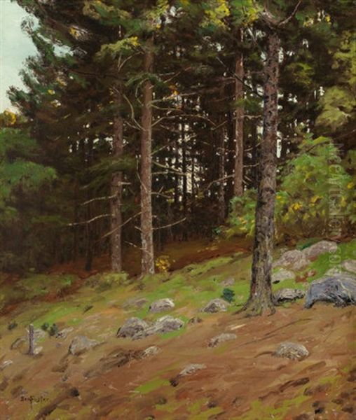 In The Pines - view 1