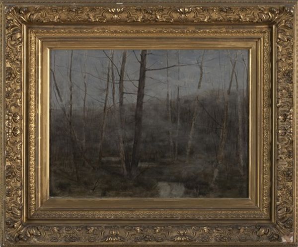 Trees In A Mist - view 1