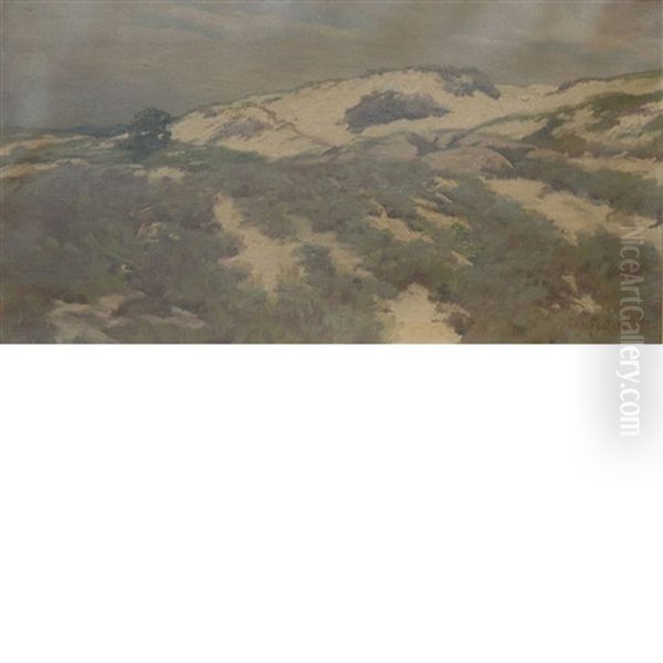 Sand Dunes - view 1