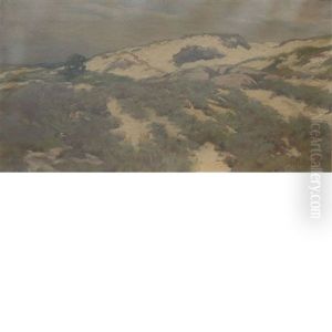 Sand Dunes Sand Dunes