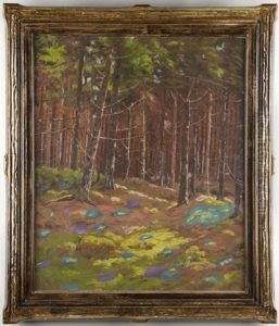 Forest Interior by Ben Foster