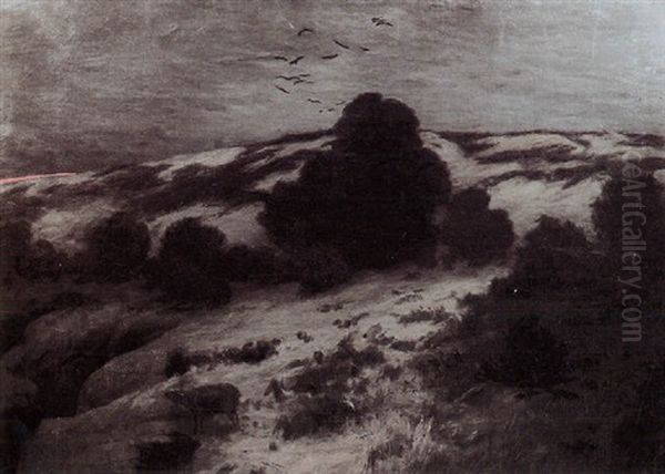 Lone Sheep In A Hillside Landscape - view 1