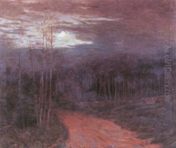 Moonlit Road - view 1