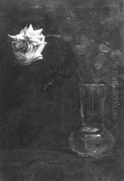 Still Life Of A Rose - view 1