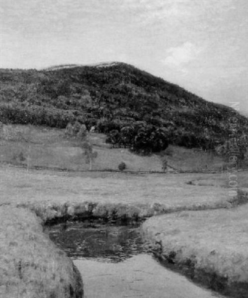 River Landscape - view 1