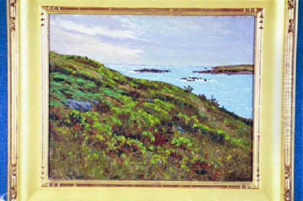 Maine Coast - view 1