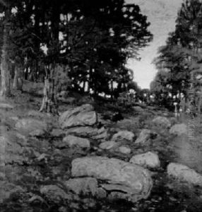 Rock Hill Rock Hill