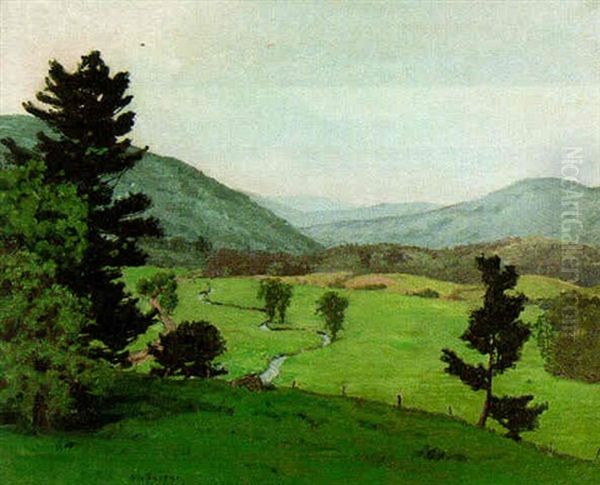 Mid-day In The Valley - view 1