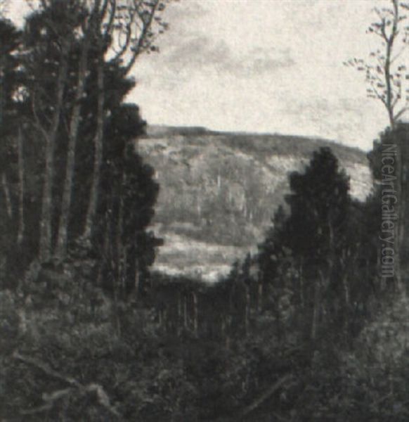 Hill And Valley - view 1