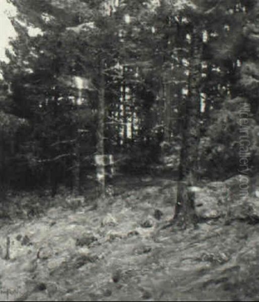 In The Pines - view 1