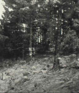 In The Pines by Ben Foster