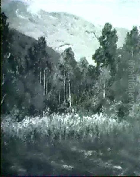 Wooded Landscape Marsh - view 1