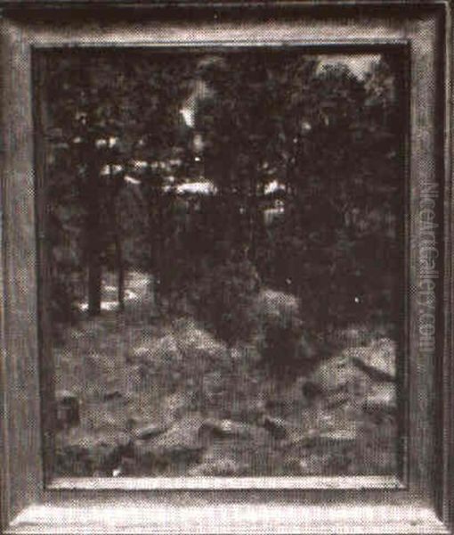 Stream Through The Forest - view 1