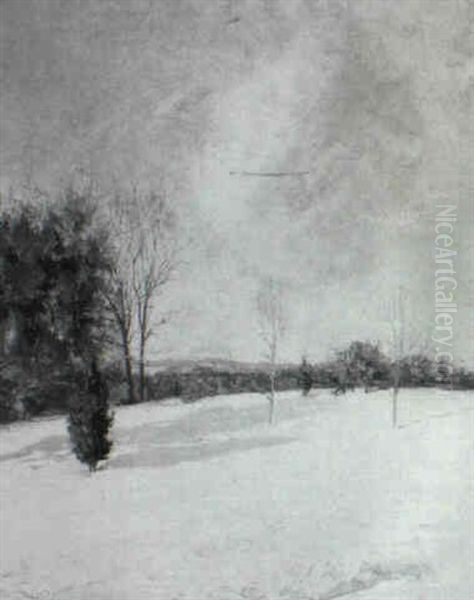 Winter Landscape - view 1