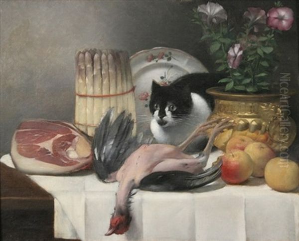 Table Top With Cat And Game - view 1