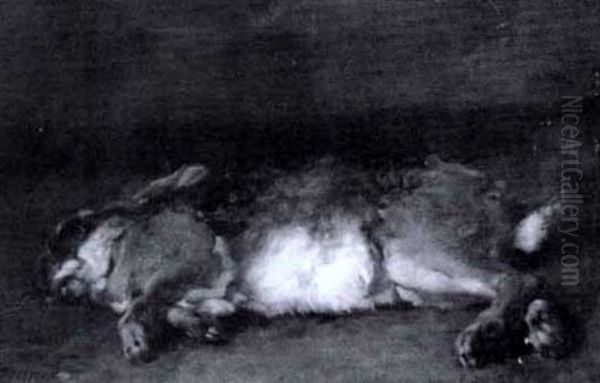 Vilande Hare - view 1