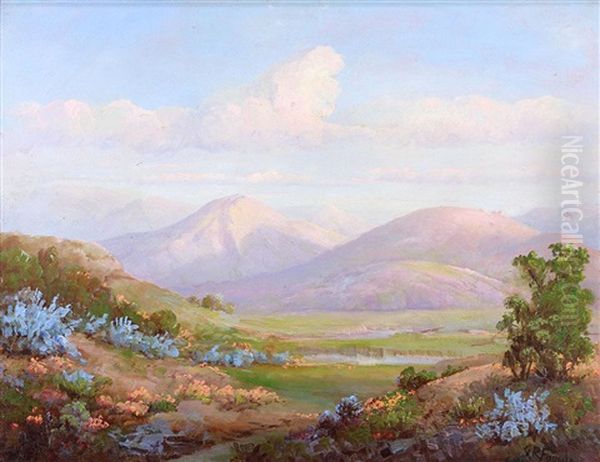 Valley Vista With Wildflowers - view 1