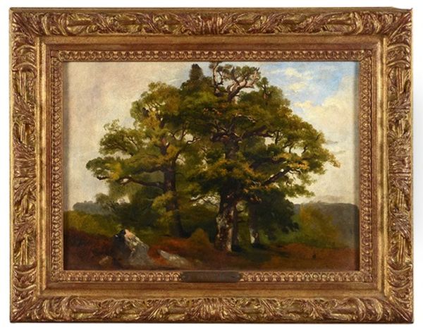 Paysage Au Grand Arbre - view 1