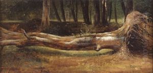 Etude D'arbre Abattu by Theodore Fourmois