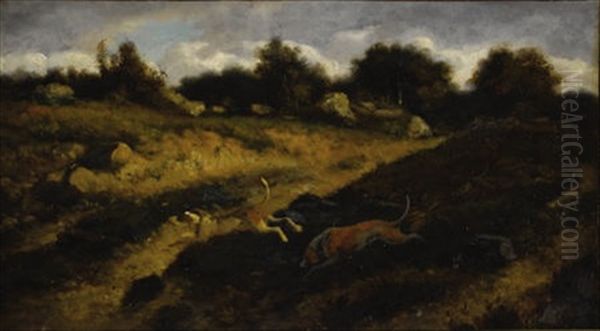 Hunting Dogs - view 1