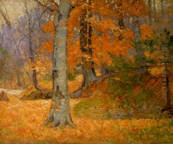 Autumn Woodland - view 1