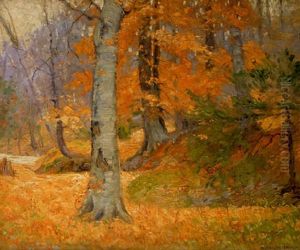 Autumn Woodland Autumn Woodland