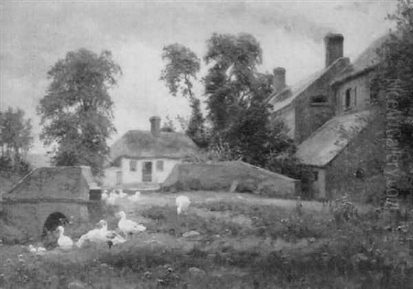 Ducks In The Backyard - view 1