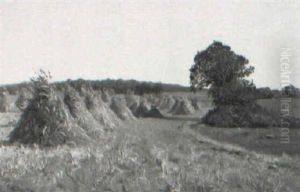 The Pumpkin Field