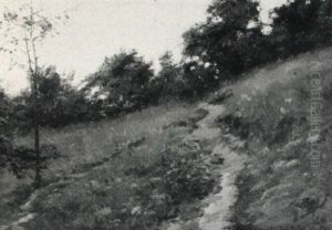 Path On A Grassy Hillside
