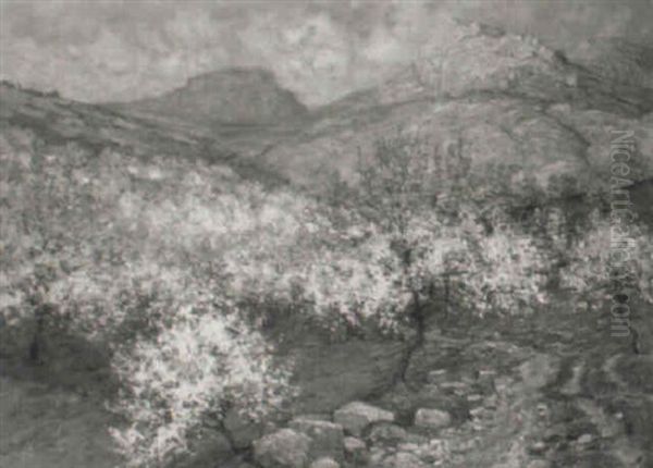The Peach Orchard, Granada, Spain - view 1