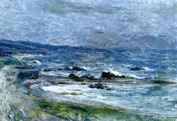 Schottische Kustenlandschaft - view 1